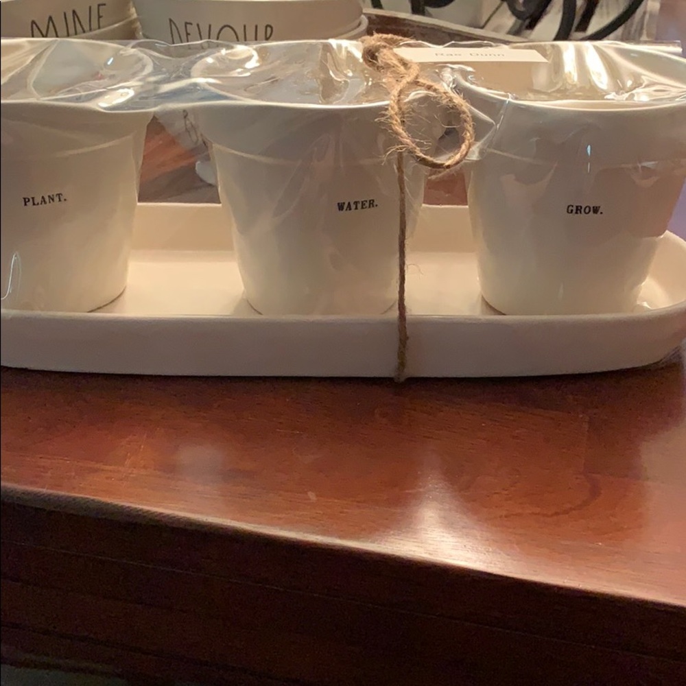 Rae Dunn planter set